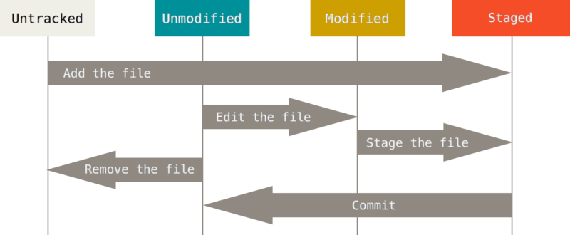 lifecycle